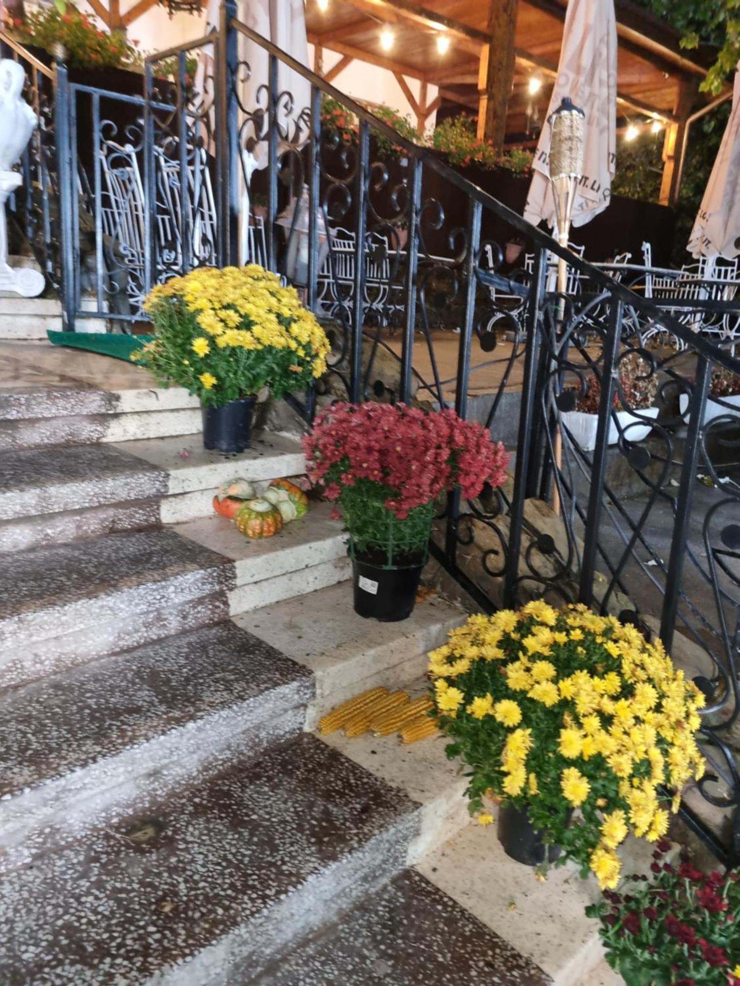 Casa Boiereasca Hotel Iasi Exterior photo